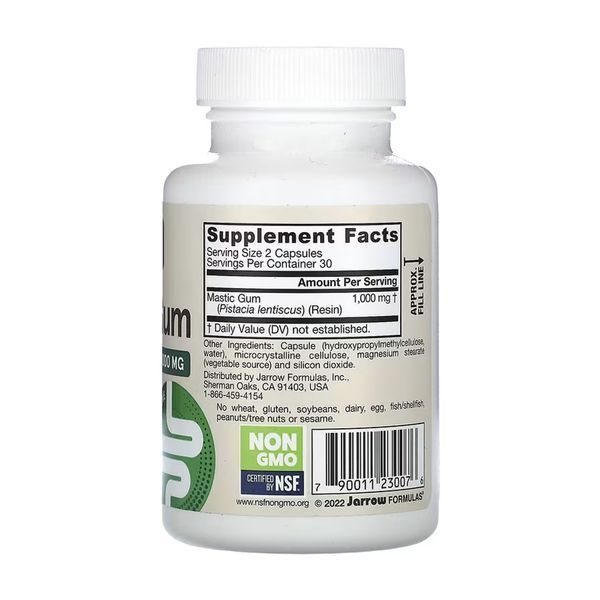 Mastic Gum 1000mg - 60 vcaps &mdash; оригинальный товар
