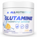 Glutamine Recovery Amino - 250g Oranje &mdash; детальний вигляд товару
