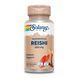 Reishi Mushroom 600mg - 100ct &mdash; детальний вигляд товару