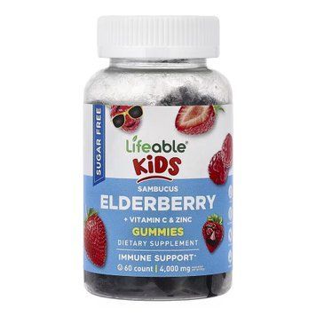 Sambucus Elderberry + Vitamin C and Zinc Kids Sugar Free - 60 gummies &mdash; оригинальный товар