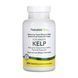 Kelp - 300 tabs &mdash; фотографии товара с разных ракурсов