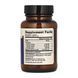 Gallbladder Enzymes - 30 caps &mdash; детальний вигляд товару