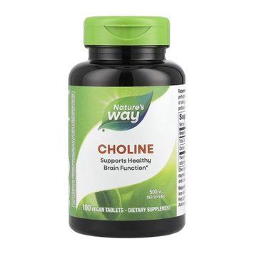 Choline 500 mg - 100 tabs &mdash; оригинальный товар