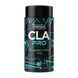 CLA - 60 caps &mdash; детальний вигляд товару