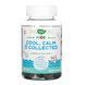 Cool, Calm, Collected - 40 gummies &mdash; фотографии товара с разных ракурсов