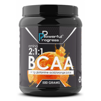 BCAA 2:1:1 + Glutamine - 500g Orange &mdash; оригинальный товар