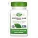 Slippery Elm Bark - 100 vcaps &mdash; детальний вигляд товару