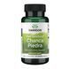 Full Spectrum Chanca Piedra 500mg - 60 vcaps &mdash; фотографии товара с разных ракурсов