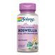Boswellia Resin Extract 450mg - 60 vcaps &mdash; детальний вигляд товару