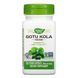 Gotu Kola Herb - 100 vcaps &mdash; детальний вигляд товару