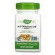 Astragalus Root - 100 vcaps &mdash; детальний вигляд товару