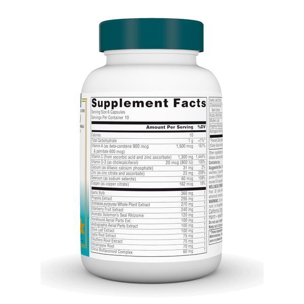 Wellness Formula&reg; - 60 caps &mdash; оригинальный товар