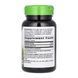 Vitex (Fruit) - 100 vcaps &mdash; фотографии товара с разных ракурсов
