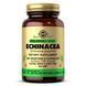 FP Echinacea - 100 vcaps &mdash; фотографии товара с разных ракурсов