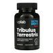 Tribulus Terrestris - 90 caps &mdash; детальний вигляд товару