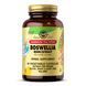SFP Boswellia Resin Extract - 60 vcaps &mdash; детальний вигляд товару