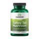 Turkey Tail Mushroom 500mg - 120 caps &mdash; детальний вигляд товару