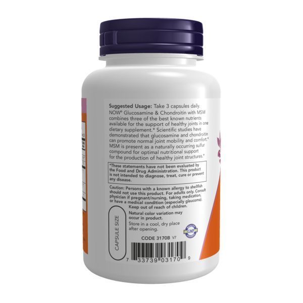 Glucosamine & Chondroitin with MSM - 180 vcaps &mdash; оригинальный товар