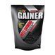 Gainer - 1000g Wild Berry &mdash; детальний вигляд товару
