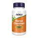 Horse Chestnut 300mg - 90 vcaps &mdash; детальний вигляд товару
