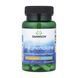 Pregnenolone High Potency 25 mg - 60 caps &mdash; детальний вигляд товару