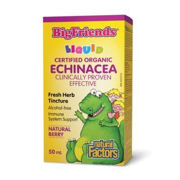 BigFriends Echinacea Alcohol-Free Fresh Herb Tincture for Kids - 50 ml &mdash; оригинальный товар