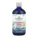 Children's DHA - 473 ml &mdash; детальний вигляд товару
