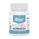 Stark Echinacea 70 mg - 100tab &mdash; фотографии товара с разных ракурсов