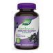 Sambucus Immune Support - 60 gummies &mdash; детальний вигляд товару