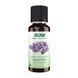 Lavender Oil - 30 ml &mdash; детальний вигляд товару