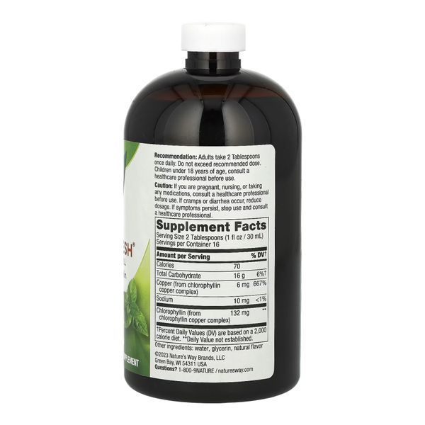 Chlorofresh&reg; Liquid - 16 oz Mint &mdash; оригінальний товар