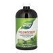 Chlorofresh&reg; Liquid - 16 oz Mint &mdash; детальний вигляд товару