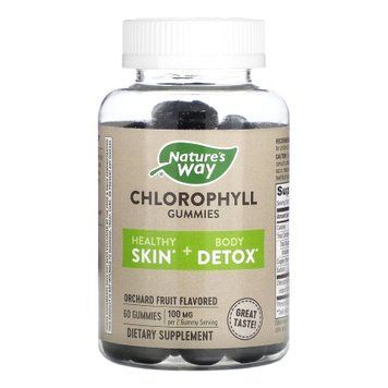 Chlorophyll Gummy - 60 ct &mdash; оригинальный товар
