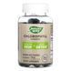 Chlorophyll Gummy - 60 ct &mdash; детальний вигляд товару