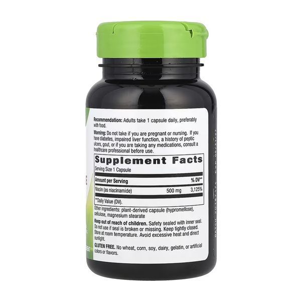 Niacinamide 500 mg - 100 caps &mdash; оригинальный товар
