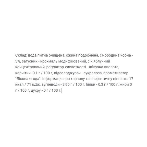 Fitnes Jam Sugar Free + L Carnitine - 200g Forest Fruit &mdash; оригинальный товар