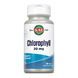 Chlorophyll 20mg - 100 tabs &mdash; фотографии товара с разных ракурсов