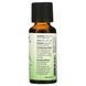 Organic Tea Tree Oil - 30ml (1 oz) &mdash; детальний вигляд товару
