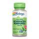 Echinacea Purpurea Root 440mg - 100 vcaps &mdash; детальний вигляд товару