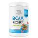 BCAA Recovery - 500g Watermelon &mdash; фотографии товара с разных ракурсов