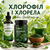 Хлорофилл и хлорелла