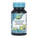 Rhodiola Rosea - 60 vcaps &mdash; детальний вигляд товару