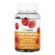 Postnatal - 60 gummies &mdash; детальний вигляд товару
