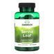 Senna Leaf 500mg - 100 сaps &mdash; фотографии товара с разных ракурсов